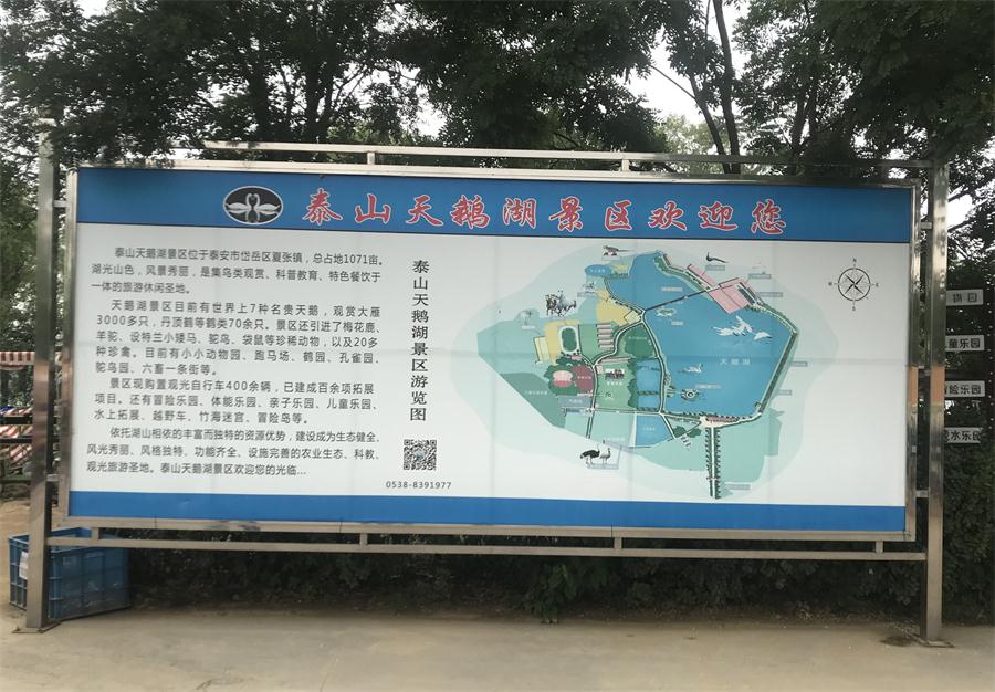 天鵝湖風(fēng)景區(qū)（泰山）速覽！(圖2)