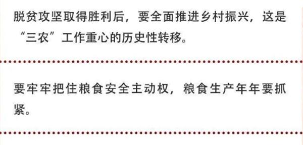 2020年中央農(nóng)村工作會(huì)議精神速覽！(圖2)