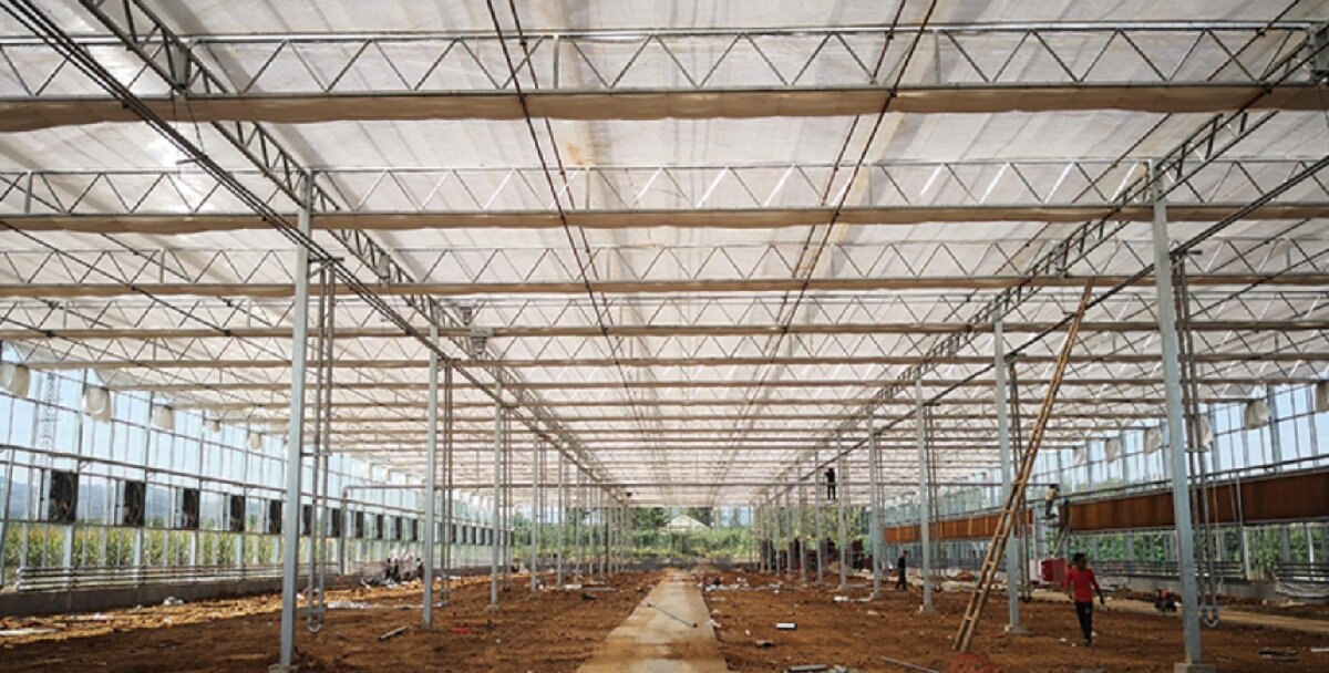 信橋鋼構(gòu)：打卡蒙陰農(nóng)業(yè)溫室大棚、青州黑牛養(yǎng)殖基地！(圖3)