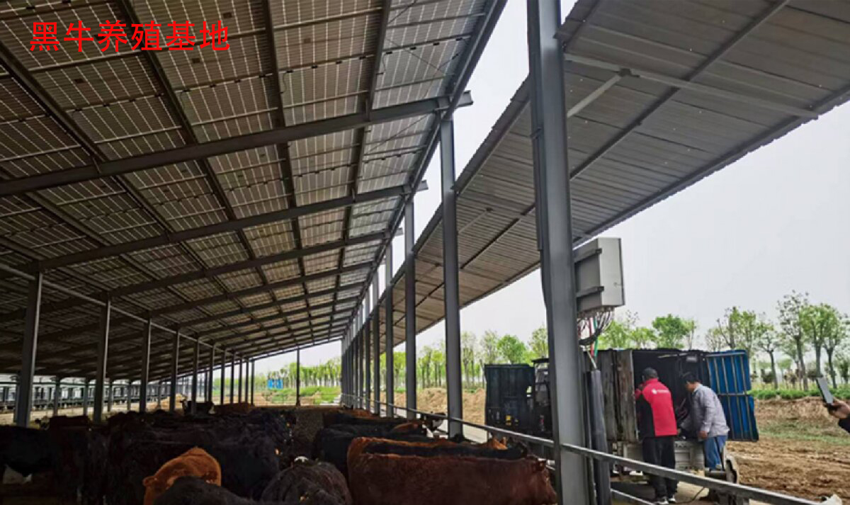 鋼結(jié)構(gòu)工程全流程服務(wù)：山東信橋鋼結(jié)構(gòu)有限公司(圖13)